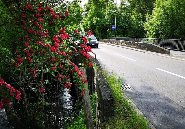 <em>Muss ersetzt werden: </em>Die marode Aabachbrücke an der Egliswilerstrasse. Foto: Fritz Thut