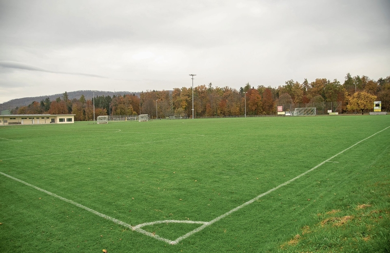 Ein Kunstrasenplatz ermöglicht beinahe unbegrenzte Nutzung.Foto: Peter Winkelmann