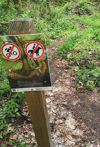 <em>Klare Sprache:</em> Gebotstafel mit Verbotshinweisen am Start eines Waldwegs.