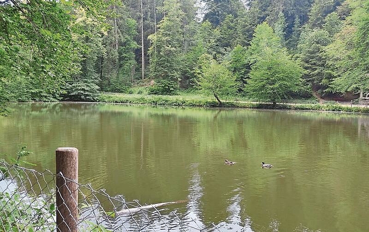 Soll besser abgeklärt werden: Die Vorlage zur Entschlammung des Fünfweihers wurde vom Einwohnerrat zurückgewiesen. Foto: Valérie Jost