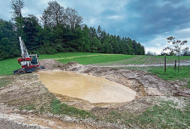 Eine provisorische Lösung: Die Vertiefung kann rund 200 Kubikmeter Oberflächenwasser aufnehmen. Foto: Björn Bucher