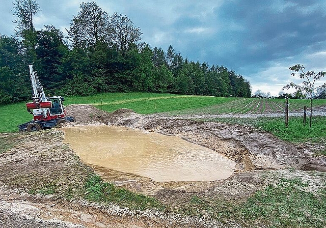 Eine provisorische Lösung: Die Vertiefung kann rund 200 Kubikmeter Oberflächenwasser aufnehmen. Foto: Björn Bucher