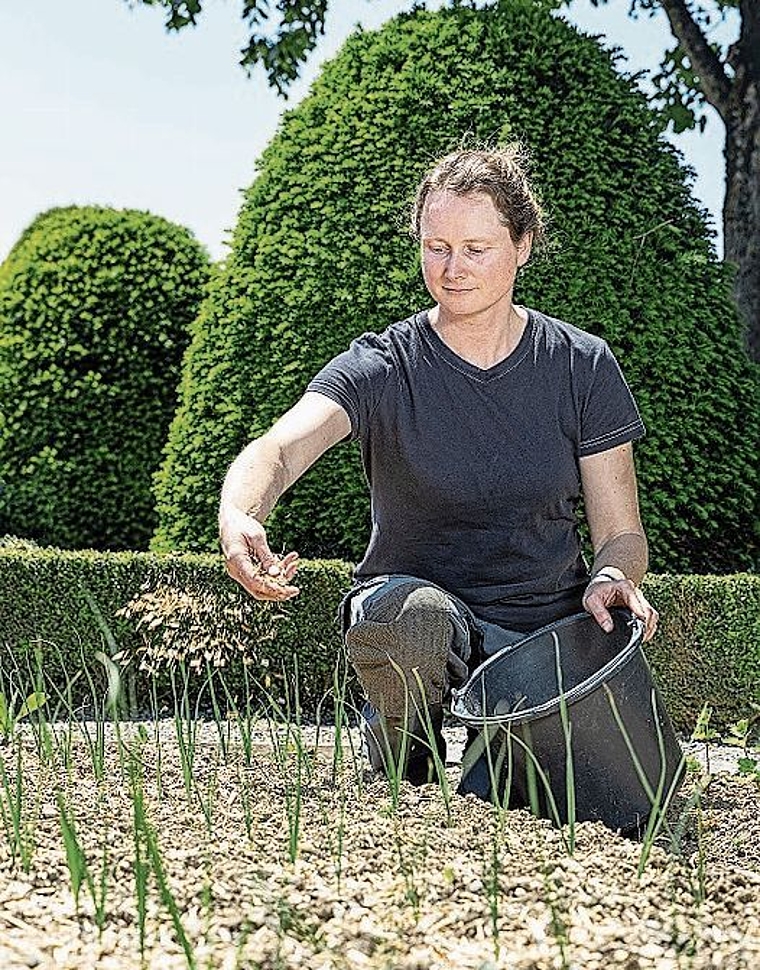 Gärtnerin im Schlossgarten Wildegg: Lea Walzer. Foto: Pascal Meier/MA