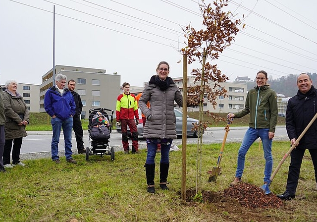 <em>Hoffen auf eine markante Pforte zum Dorf: </em>Vizeammann Katja Früh Haas, Denise Berger und Otto Moser beim Einpflanzen der Traubeneiche. Foto: Mirjam Stutz