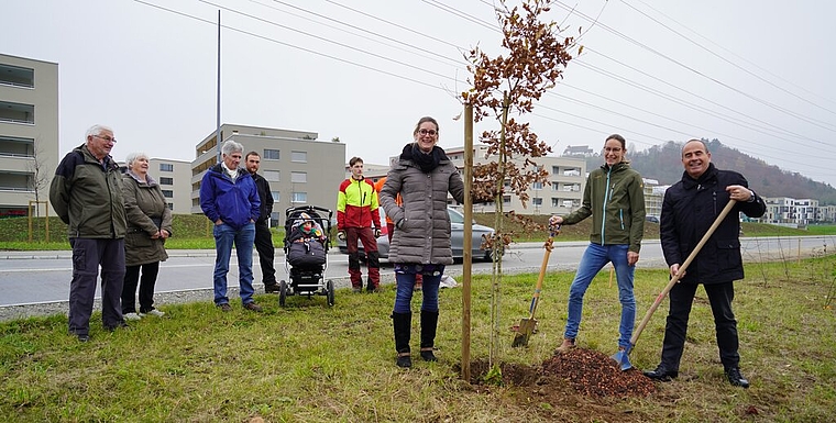 <em>Hoffen auf eine markante Pforte zum Dorf: </em>Vizeammann Katja Früh Haas, Denise Berger und Otto Moser beim Einpflanzen der Traubeneiche. Foto: Mirjam Stutz