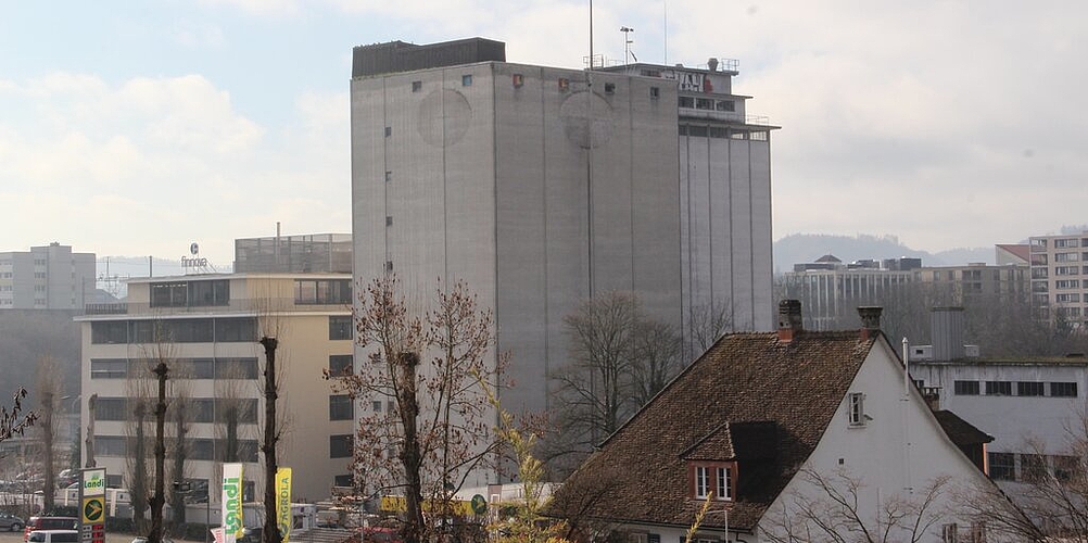<em>Brut- und Schlafplätze sind weg:</em> Bei den markanten Futtersilos wurden die beiden UFA-Schilder entfernt und dadurch der Unterschlupf der Alpensegler vernichtet. Foto: Carolin Frei <em>Brut- und Schlafplätze sind weg:</em> Bei den markanten Futtersilos wurden die beiden UFA-Schilder entfernt und dadurch der Unterschlupf der Alpensegler vernichtet. Foto: Carolin Frei