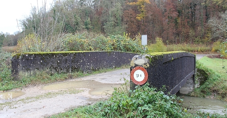 Bünzbrücke: Kann das Alter von 79 Jahren nicht vertuschen. Foto: AG