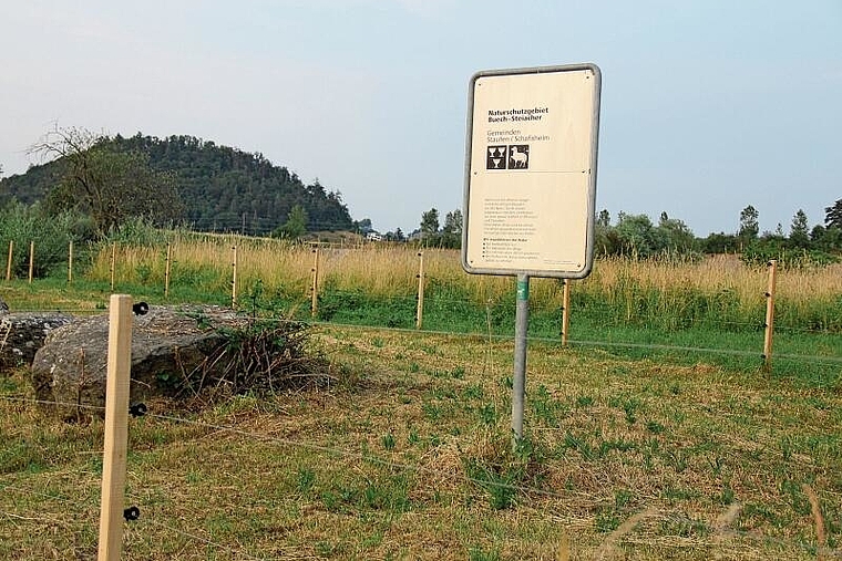 Naturschutzgebiet Buech-Steiacher wird aufgewertet: Standort des geplanten Tümpels.Foto: Alfred Gassmann