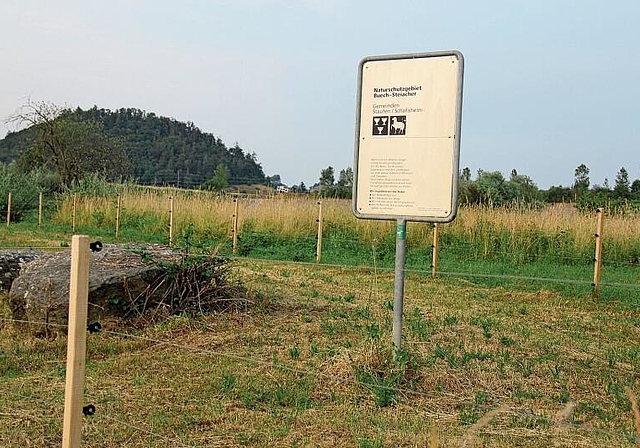 Naturschutzgebiet Buech-Steiacher wird aufgewertet: Standort des geplanten Tümpels.Foto: Alfred Gassmann