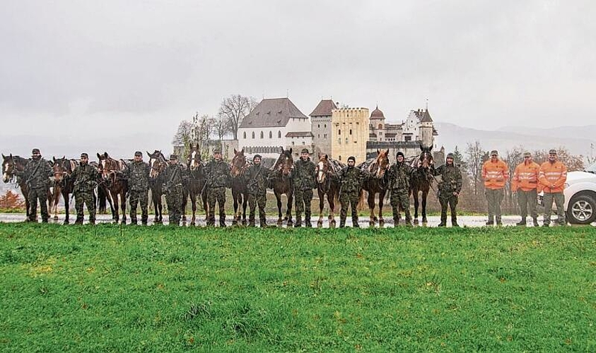 Zehn satte Pferdestärken und viele Hände räumten die Murmelstationen rund ums Schloss Lenzburg auf.Foto: Peter Winkelmann