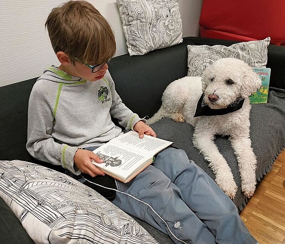 Hört zu, ohne zu urteilen: Lesehund Filou von der Gemeindebibliothek Möriken-Wildegg.Foto: zvg