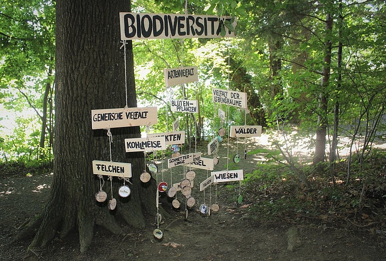 <em>Ein empfindliches System:</em> Ökologie-Mobile am Rangertag. Foto: Alexander Studer