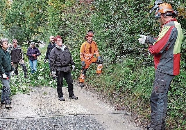 Unter kundiger Leitung selbst Hand angelegt: Heckenpflegekurs in Lenzburg mit Thomas Waltenspühl.