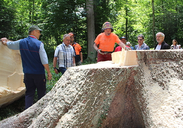 Kleiner Käfer – grosse Zerstörung Fritz Wirz, Präsident der Forst- und Ortsbürgerkommission (2. von links), Matthias Ott, Stadtoberförster, und Forstwart Beat Ineichen, der die wuchtige Fichte gefällt hat. Foto: Carolin Frei