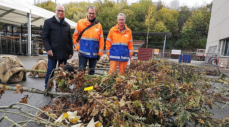 <em>Neue Bäume für die Stadt:</em> Stadtrat Martin Stücheli, Tiefbauchef Christian Brenner und Werkhof-Mitarbeiter Peter Ulmann mit einpflanzbereiten Bäumen im Werkhofareal. Foto: Fritz Thut