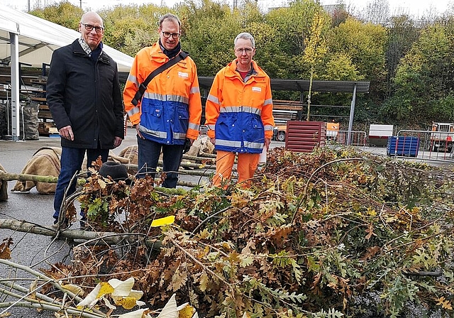 <em>Neue Bäume für die Stadt:</em> Stadtrat Martin Stücheli, Tiefbauchef Christian Brenner und Werkhof-Mitarbeiter Peter Ulmann mit einpflanzbereiten Bäumen im Werkhofareal. Foto: Fritz Thut