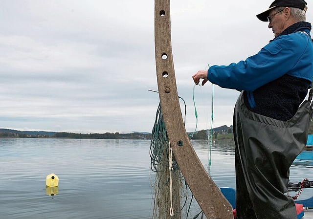 Neue Übereinkunft zwischen Luzern und Aargau: Fischerei auf dem Hallwilersee. Foto: Jiri Reiner