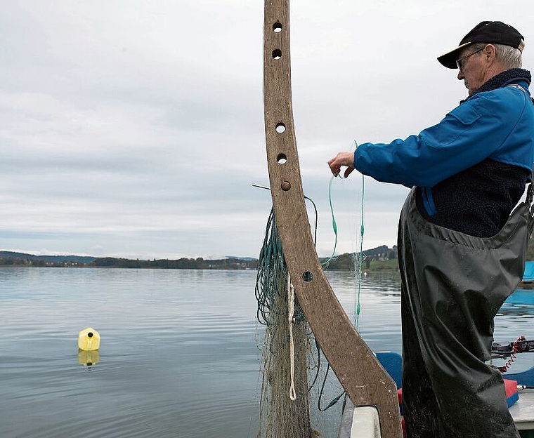 Neue Übereinkunft zwischen Luzern und Aargau: Fischerei auf dem Hallwilersee. Foto: Jiri Reiner