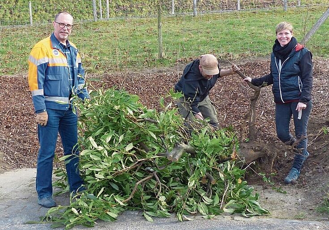 Wollen die Bevölkerung sensibilisieren: Christian Brunner, Lukas Häusler und Linda Zumsteg mit Neophyten. Foto: Deborah Bläuer