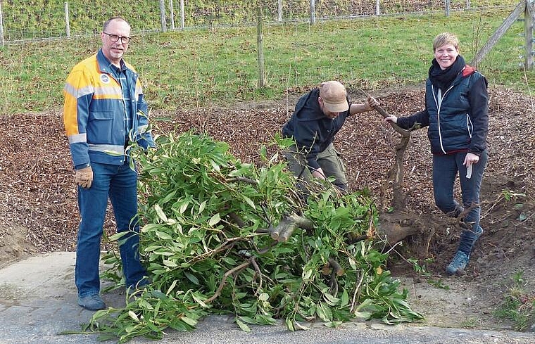 Wollen die Bevölkerung sensibilisieren: Christian Brunner, Lukas Häusler und Linda Zumsteg mit Neophyten. Foto: Deborah Bläuer