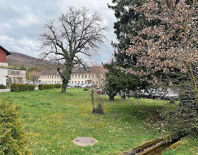 Lauépark mit noch vorhandener Wasserführung, die den Teich im nord-westlichen Teil des Parks speist.Foto: Verein Industriekultur am Aabach