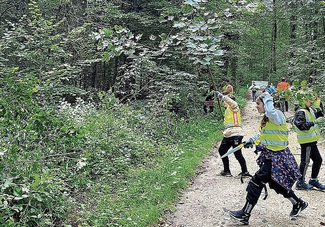 Selbst Hand angelegt: Niederlenzer Schüler schnitten am Waldweg Bäume zurück. Foto: Tanja Isler