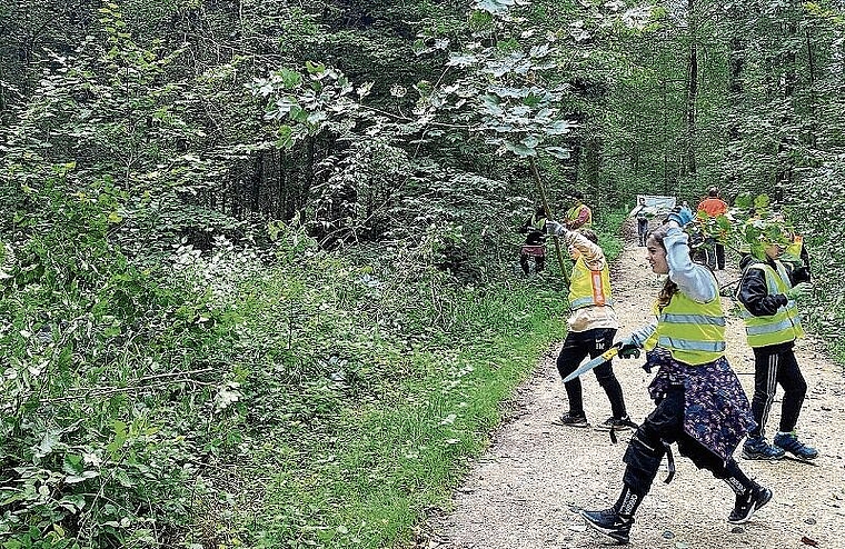 Selbst Hand angelegt: Niederlenzer Schüler schnitten am Waldweg Bäume zurück. Foto: Tanja Isler