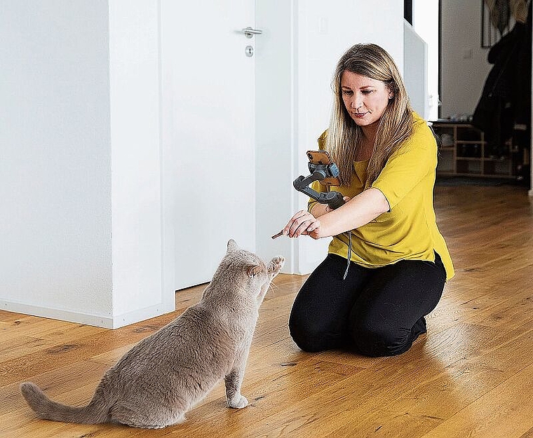 Eine Protagonistin mit Video-Erfahrung: Die British-Shorthair-Dame Sofi nimmt elegant ein Leckerli von Anastasia Arrigo entgegen. Foto: zvg