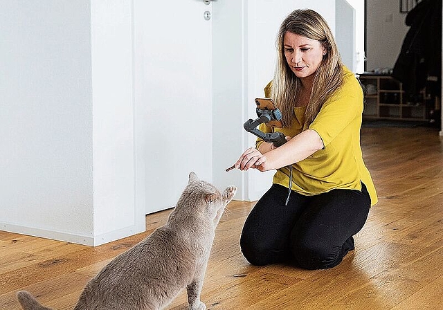 Eine Protagonistin mit Video-Erfahrung: Die British-Shorthair-Dame Sofi nimmt elegant ein Leckerli von Anastasia Arrigo entgegen. Foto: zvg