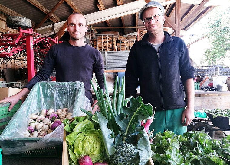 Biologisch gezogenes Gemüse im Abo: Dominik Bisang und Thomas Urech sind die «Gmüeser». Foto: Fritz Thut
