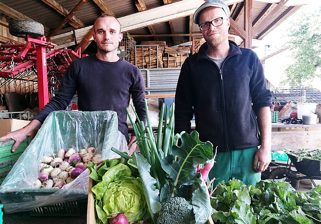 Biologisch gezogenes Gemüse im Abo: Dominik Bisang und Thomas Urech sind die «Gmüeser». Foto: Fritz Thut