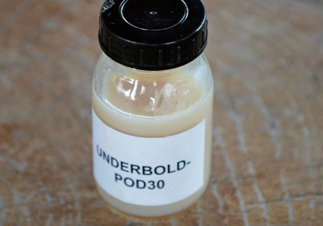 Underbold im Glas.Foto: Andreas Walker