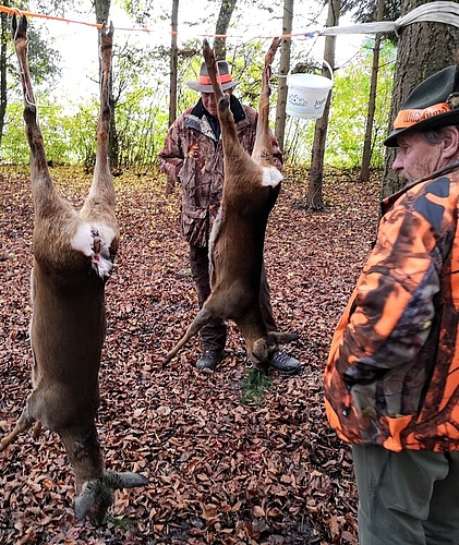 <em>Bilanz am Behördenjagdtag in Birrwil:</em> Präsident Peter Steiner betrachtet die erlegten Rehe. Fotos: Fritz Thut
