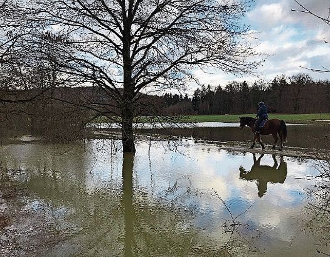 Ausritt: Pferd und Reiter am Aabach. Foto: Andreas Walker
