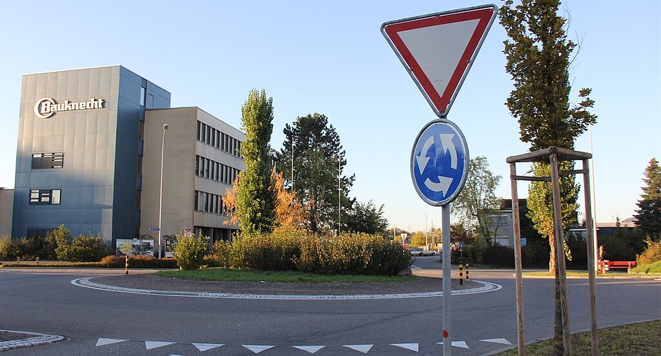 <em>Immerhin einheimische Sträucher:</em> Kreisel Ringstrasse West/Industriestrasse beim ehemaligen Bauknecht-Gebäude.