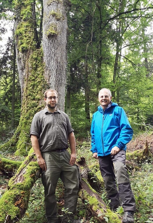 <em>Posieren vor mächtiger Eiche:</em> Der neue Leiter der Forstdienste Lenzia, Matthias Ott, neben seinem Vorgänger Frank Haemmerli. Foto: Fritz Thut