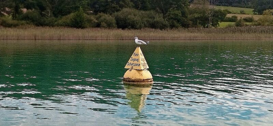 Klare Abgrenzung: Boje als Markierung der Naturschutzzone, hier beim Erlenhölzli. Foto: huh
