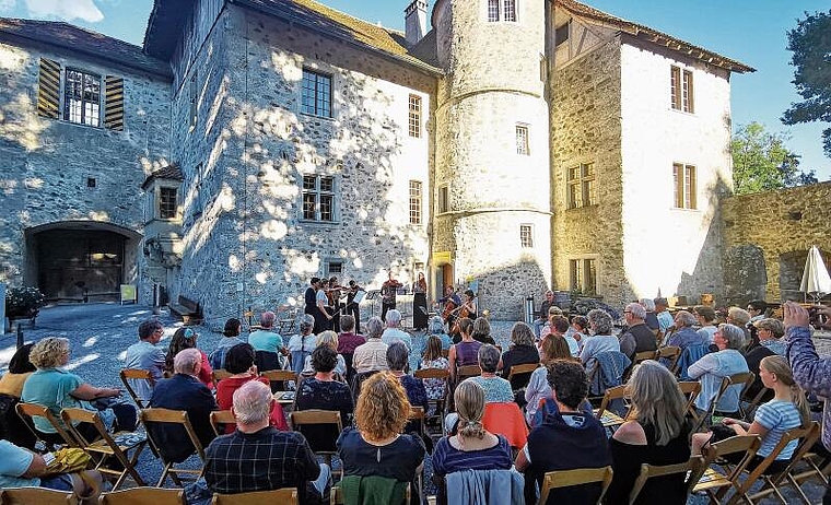 Stimmungsvoller Abschluss: Das Schlosshofkonzert mit dem Kammerensemble des Jugend-Sinfonieorchesters Aargau. Foto: Fritz Thut