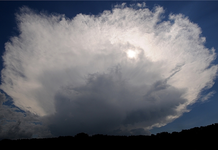 Eine riesige Gewitterwolke ist in der Innerschweiz entstanden. Der Schirm, der aussieht wie der Hut eines Pilzes, reicht bis ins Seetal (Standort Hallwil).