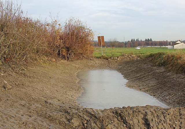 Saniert: Die Amphibien dürfen sich auf das neue Zuhause freuen. Foto: AG