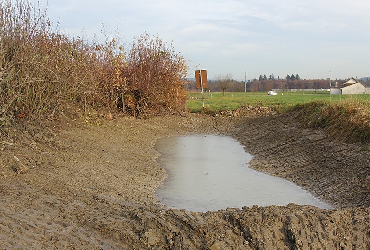Saniert: Die Amphibien dürfen sich auf das neue Zuhause freuen. Foto: AG