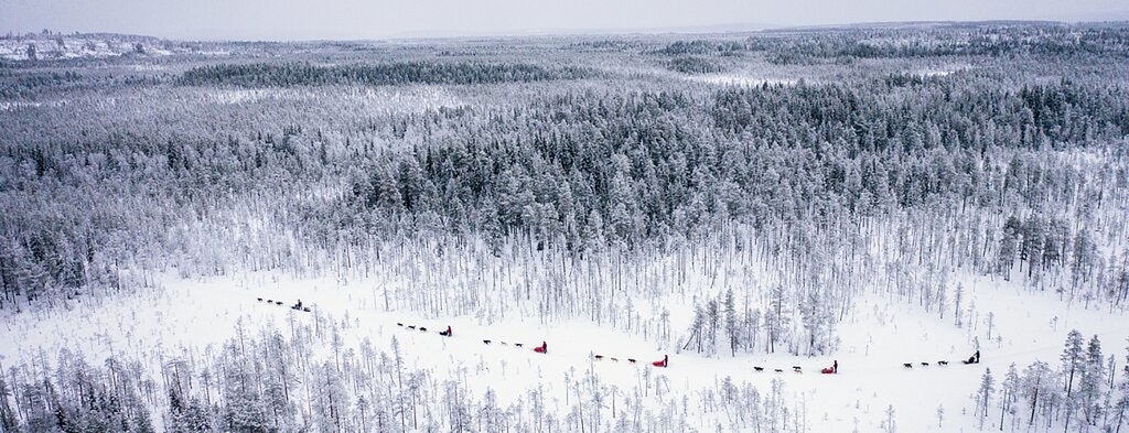 <em>Mitten durch die einsame Landschaft Lapplands: </em>Jeder der fünf Teilnehmer der SRF-«DOK»-Serie ist mit einem eigenen Hundegespann unterwegs: Fotos: Copyright: SRF/Jaakko Posti