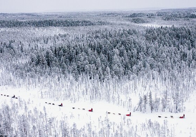 <em>Mitten durch die einsame Landschaft Lapplands: </em>Jeder der fünf Teilnehmer der SRF-«DOK»-Serie ist mit einem eigenen Hundegespann unterwegs: Fotos: Copyright: SRF/Jaakko Posti