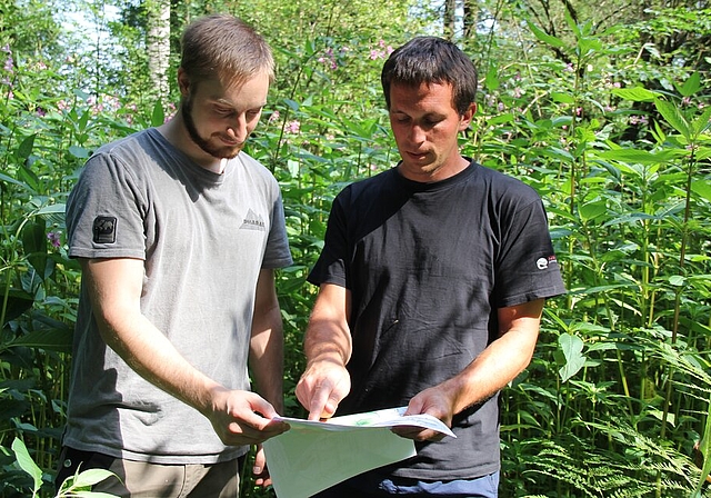 <em>Sie wissen, wo die letzten Bestände des Drüsigen Springkrauts sind:</em> Förster Markus Dietiker und Praktikant Fabien Treichler. Foto: AG