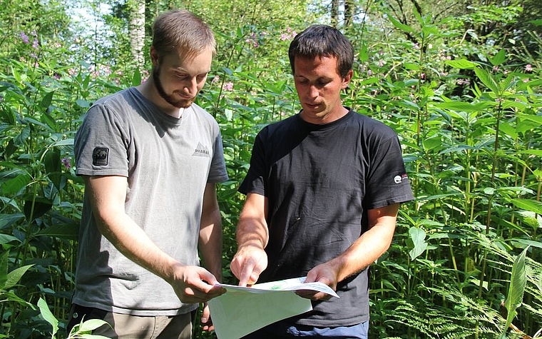 <em>Sie wissen, wo die letzten Bestände des Drüsigen Springkrauts sind:</em> Förster Markus Dietiker und Praktikant Fabien Treichler. Foto: AG