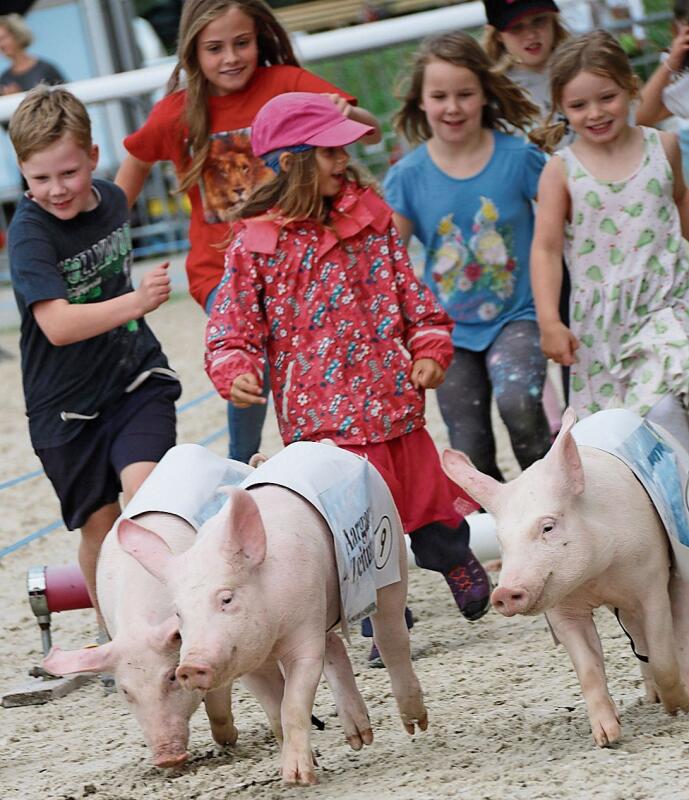 Ein Riesenspass: Nach den Säulirennen in der ALA-Arena durften die Kinder die Rennschweine zurück an den Start treiben.Foto: Romi Schmid