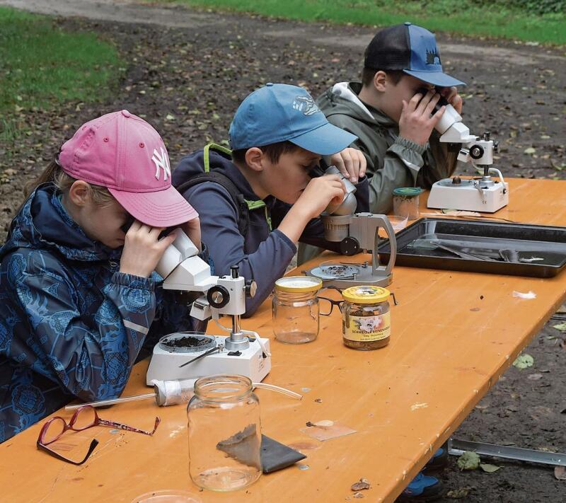 Junge Forscher: Mit einem Binokular konnten kleine Lebewesen und andere Dinge der Natur vergrössert und gut beobachtet werden.Foto: Andreas Walker