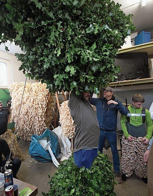 «Stächpaumig»: Das Anziehen der Bärzeli-Kostüme ist eine Wissenschaft für sich. Foto: aw