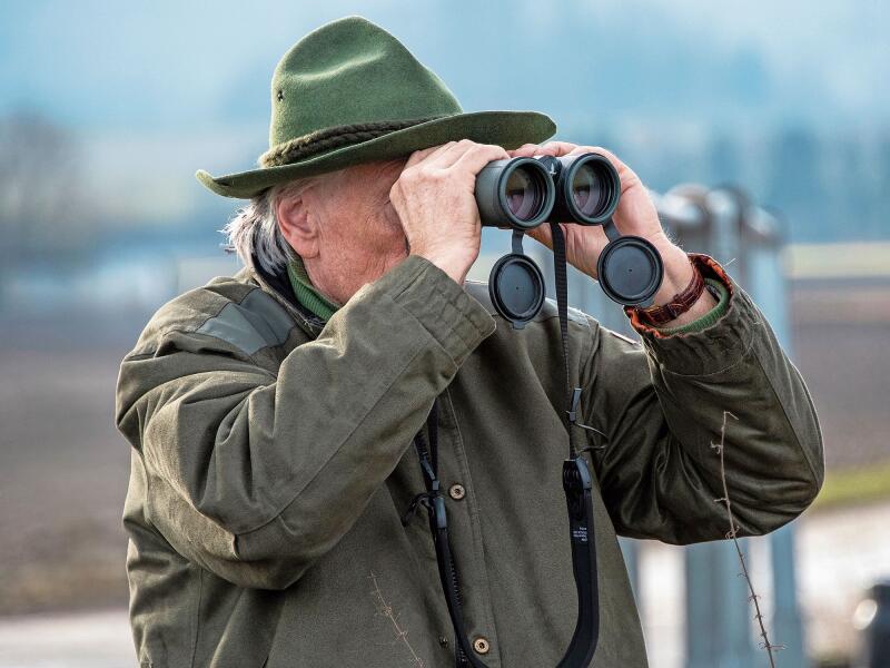 Der Feldhase im Fokus: In unserer Gegend leider eine Seltenheit.Foto: zvg