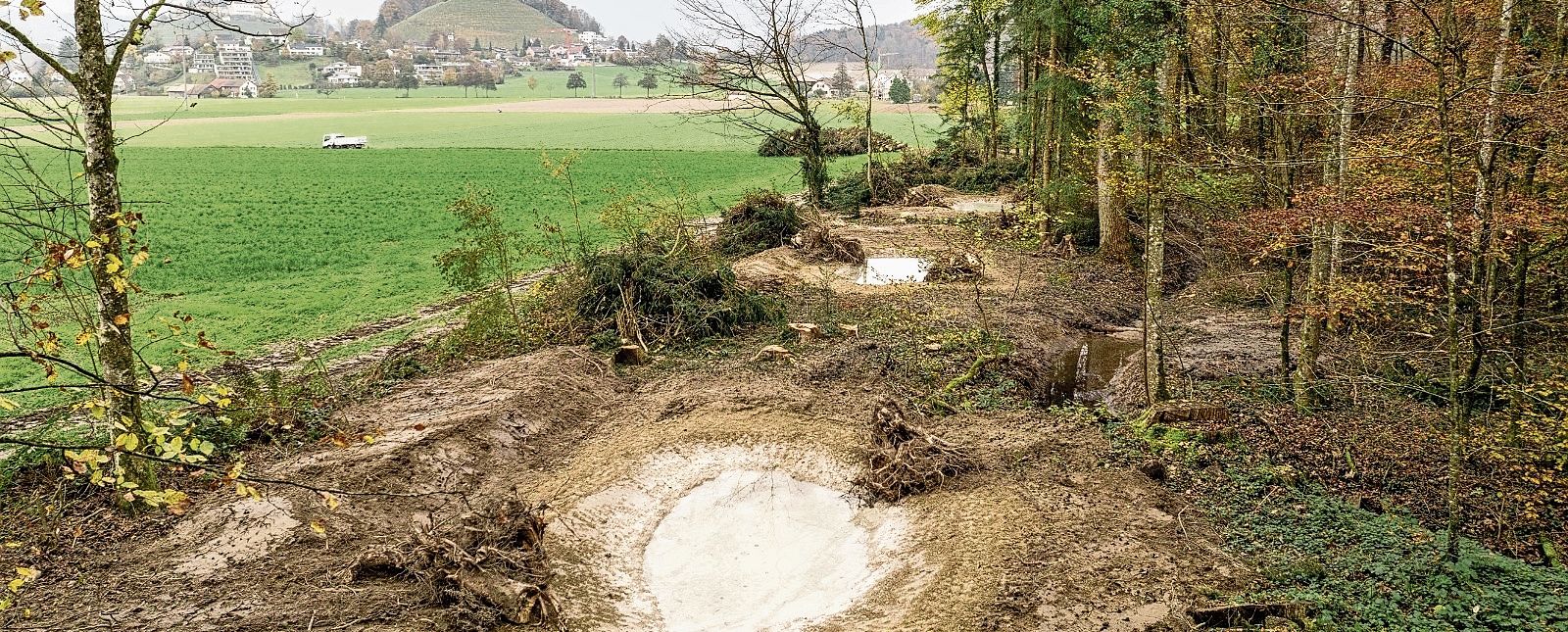 Erst im Winter errichtet, und schon haben sich seltene Amphibienarten gezeigt: Die neuen Tümpel im Bergfeld.Foto: zvg 